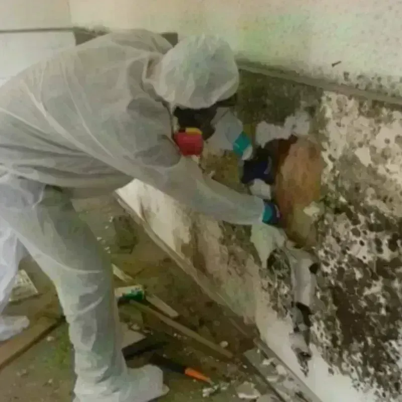 Mold Remediation and Removal in Baldwinville, MA